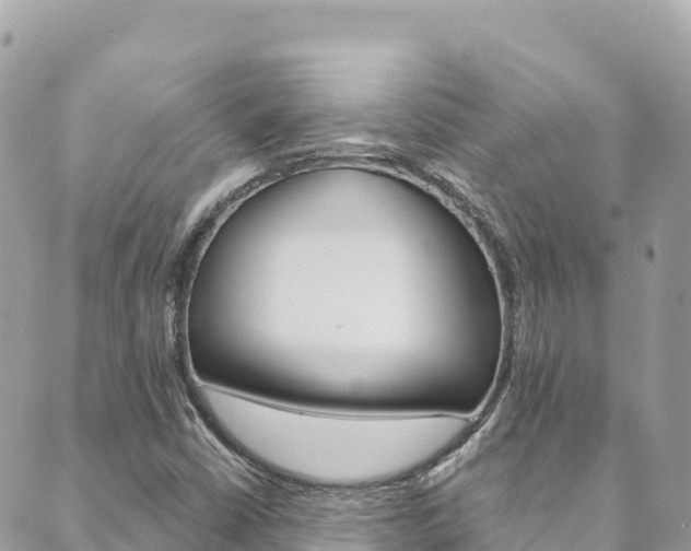 X0000089961402200706290849