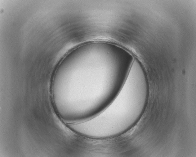 X0000089961422200706290849
