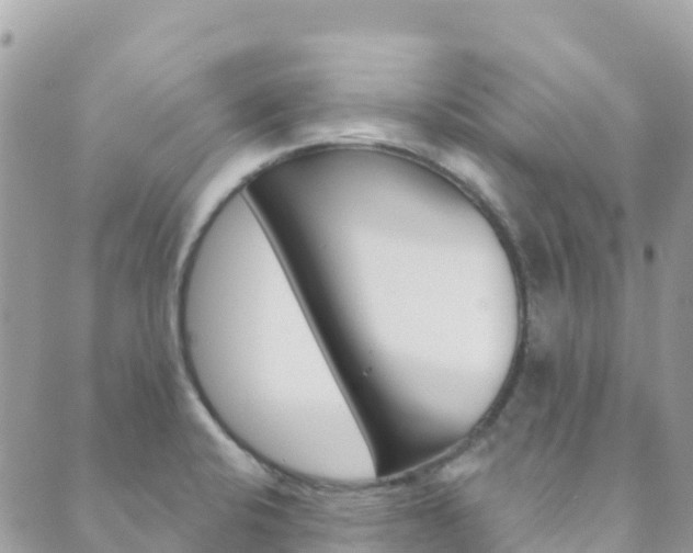 X0000089961424200706290849