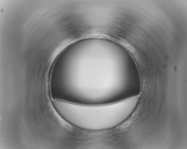 X0000089961430200706290849