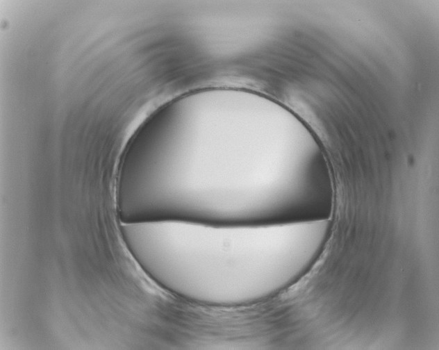 X0000089961436200706290849