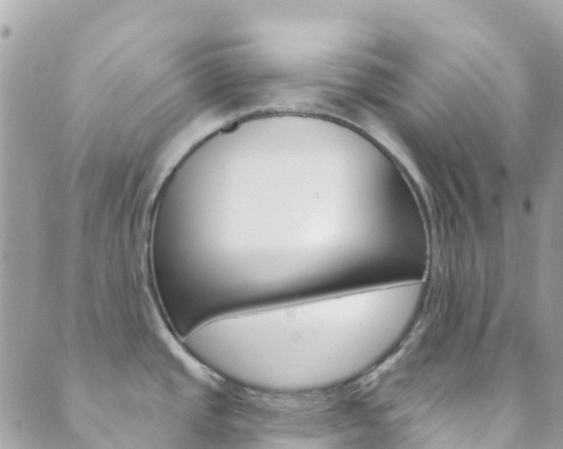 X0000089961437200706290849