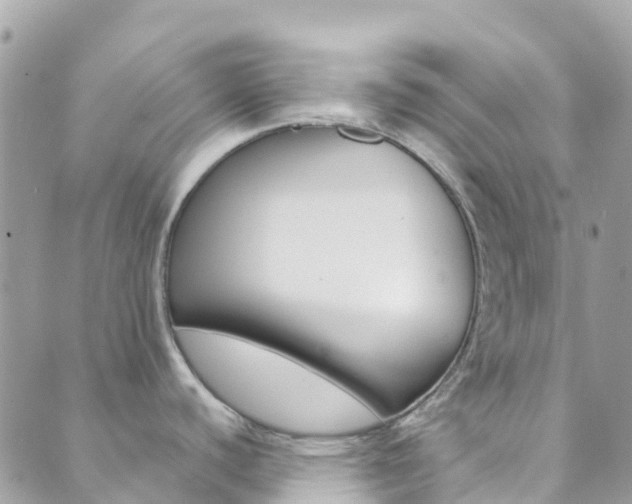 X0000089961440200706290849