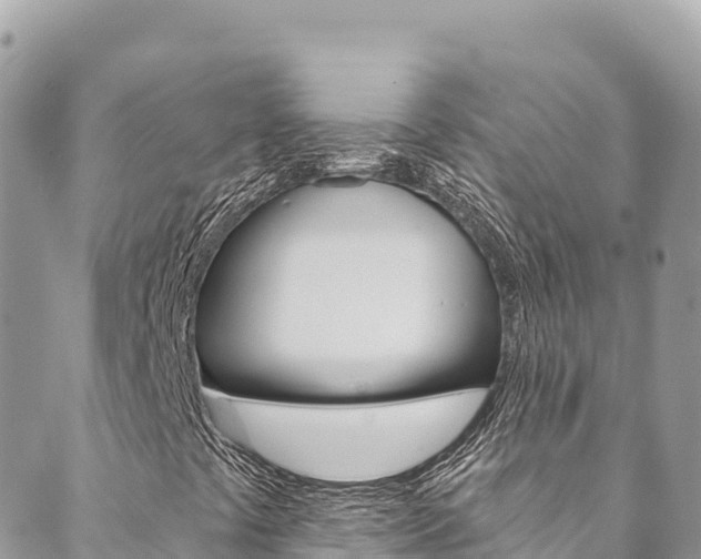 X0000089961441200706290849
