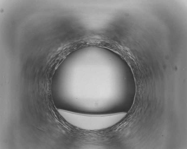 X0000089961445200706290849