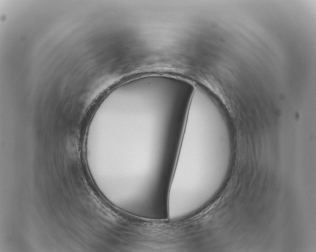 X0000089961452200706290848