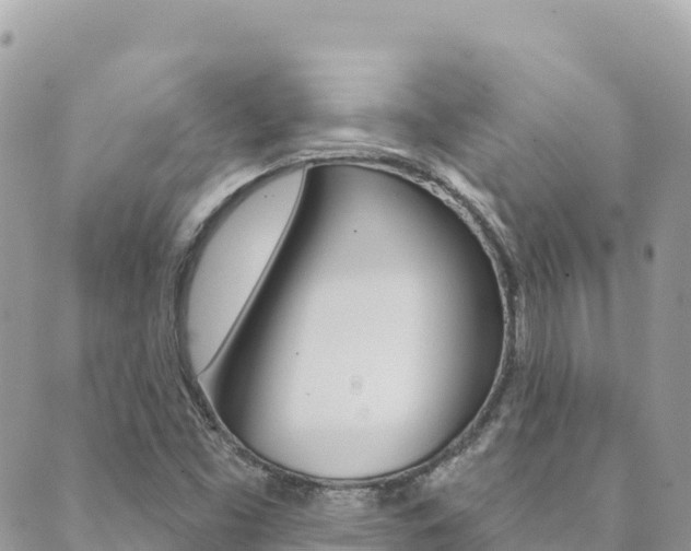 X0000089961453200706290848