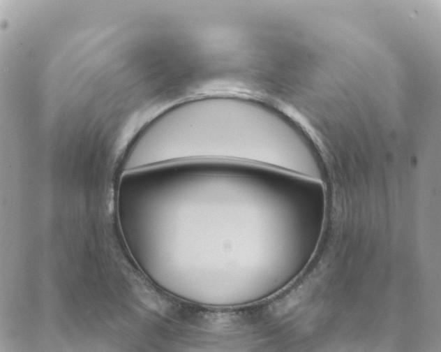 X0000089961461200706290848