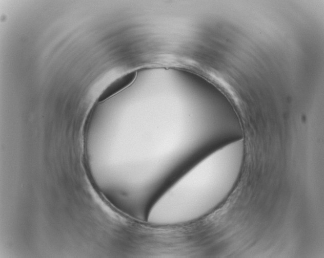 X0000089961479200706290848