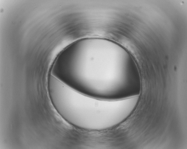 X0000089961480200706290848