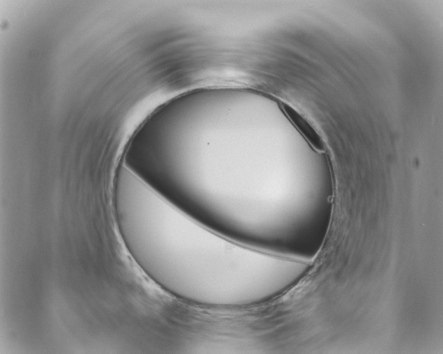 X0000089961488200706290848