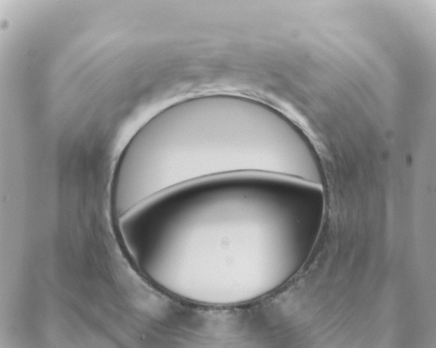 X0000089961512200706290847