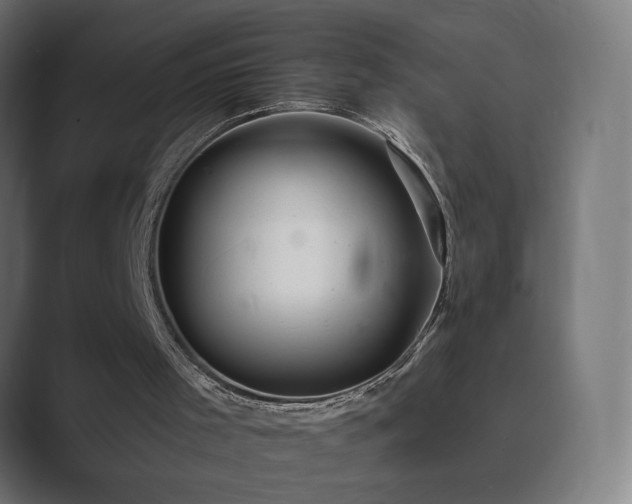 X0000089960001200706291238