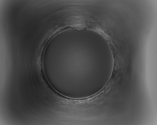 X0000089960002200706291237