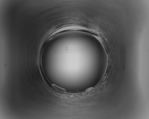 X0000089960003200706291237