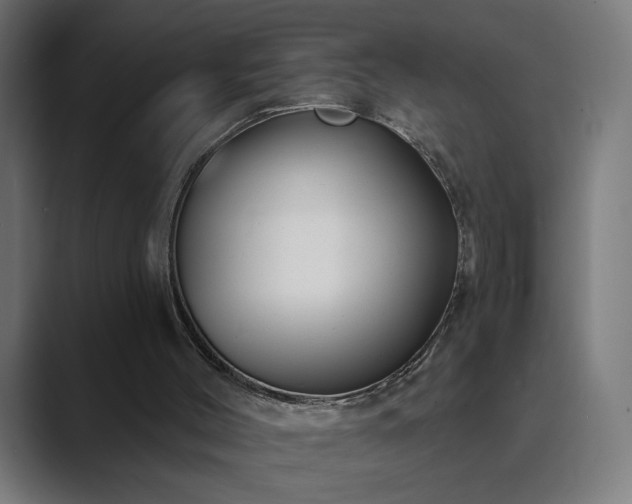 X0000089960004200706291237