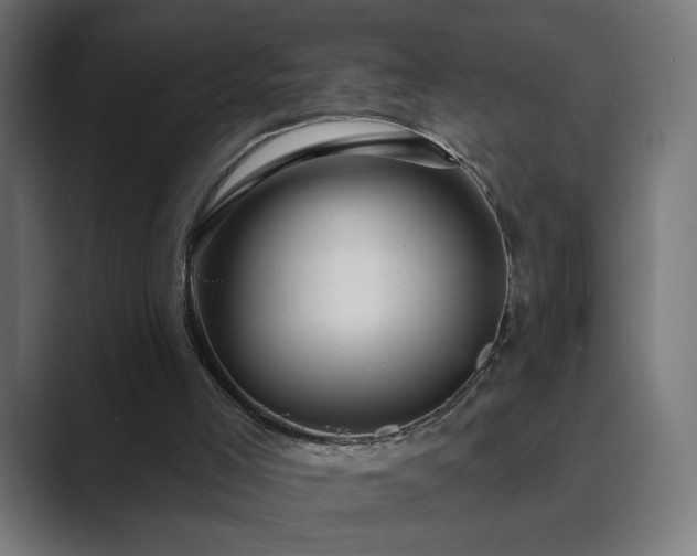 X0000089960005200706291237