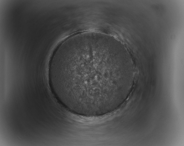 X0000089960006200706291237