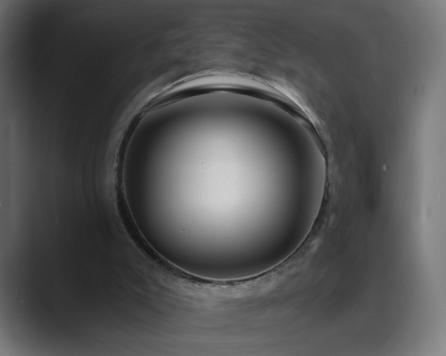 X0000089960007200706291237