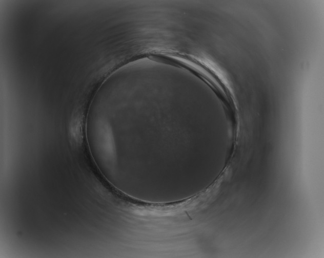 X0000089960009200706291237