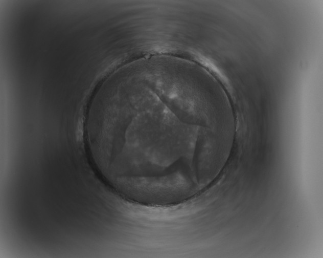 X0000089960010200706291237