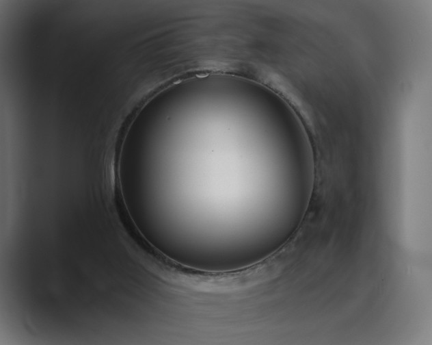 X0000089960011200706291237