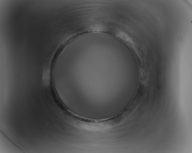 X0000089960012200706291237