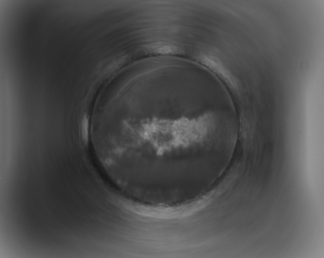 X0000089960014200706291237