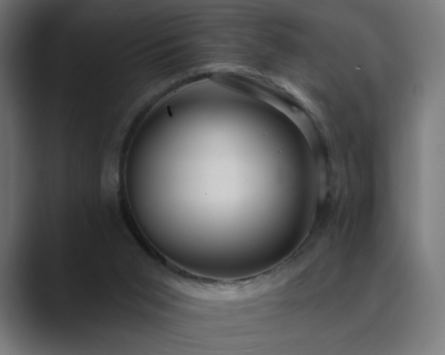 X0000089960015200706291237