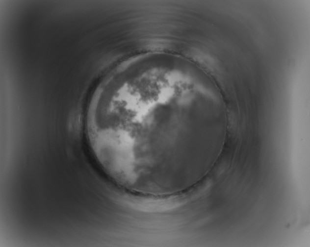 X0000089960016200706291237