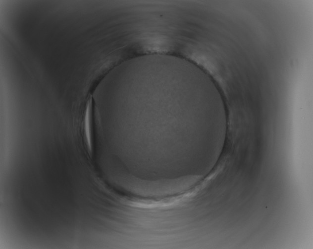 X0000089960017200706291237