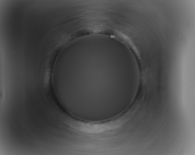 X0000089960018200706291237