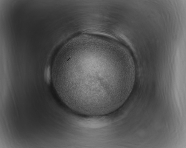 X0000089960020200706291237