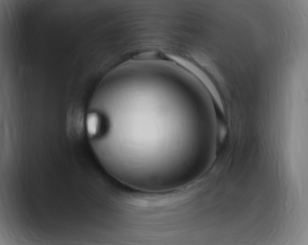 X0000089960021200706291237