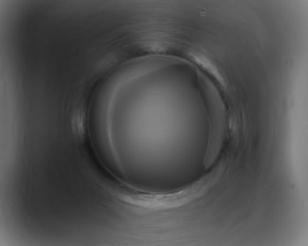 X0000089960023200706291237