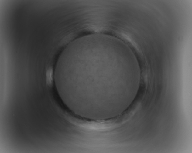 X0000089960024200706291237
