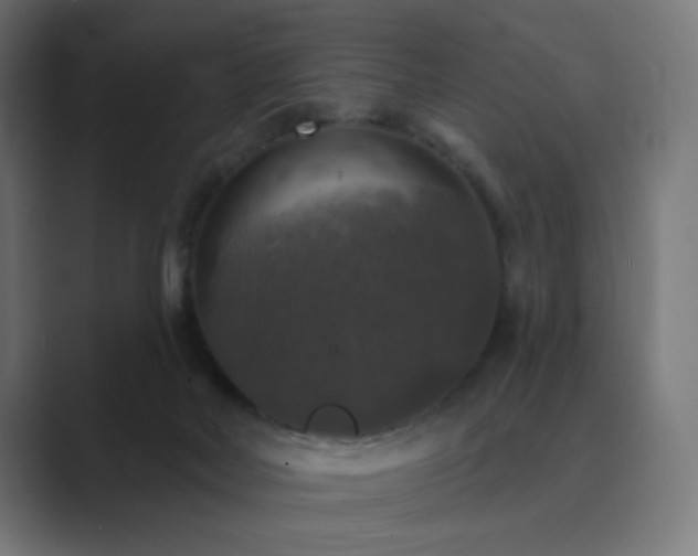 X0000089960026200706291237