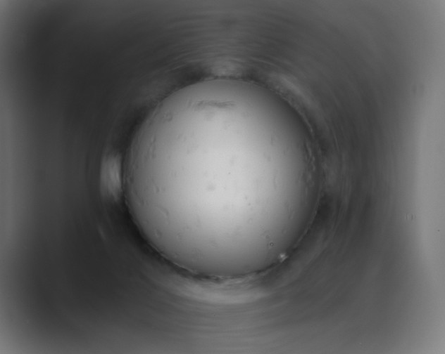 X0000089960028200706291237