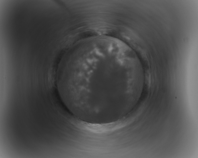 X0000089960030200706291237