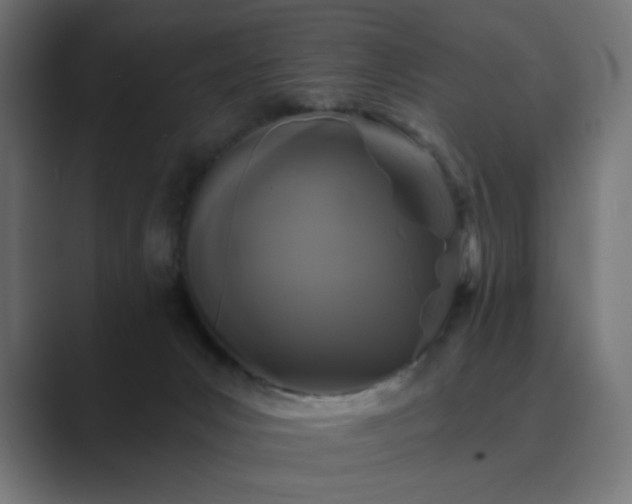 X0000089960031200706291237