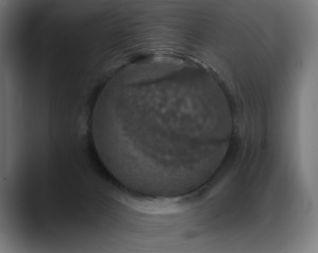 X0000089960032200706291237