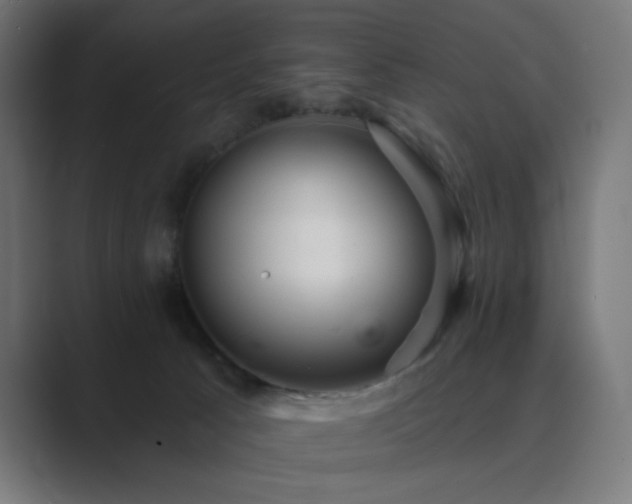X0000089960033200706291237