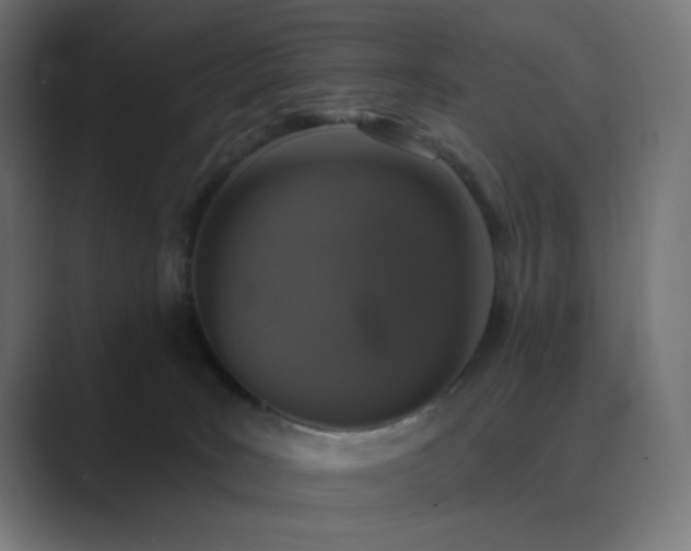 X0000089960035200706291237