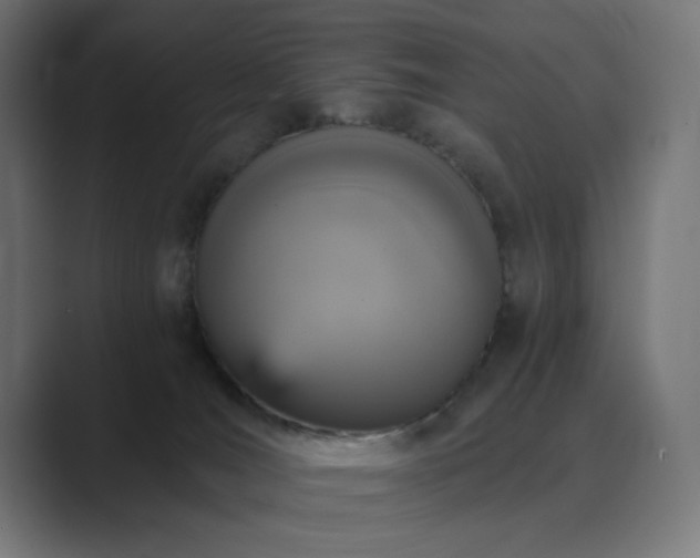 X0000089960036200706291237