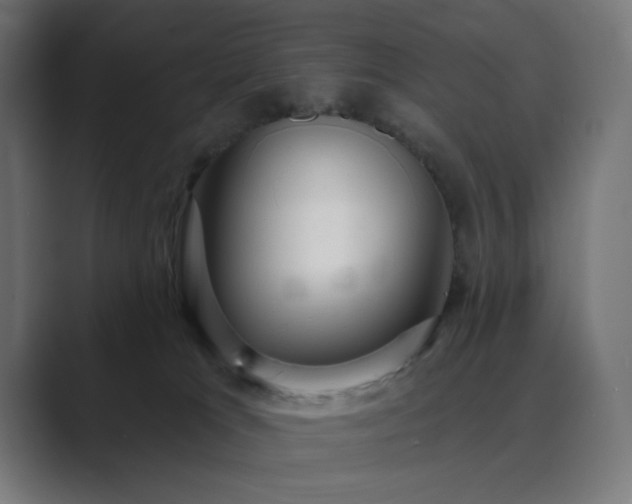 X0000089960037200706291237