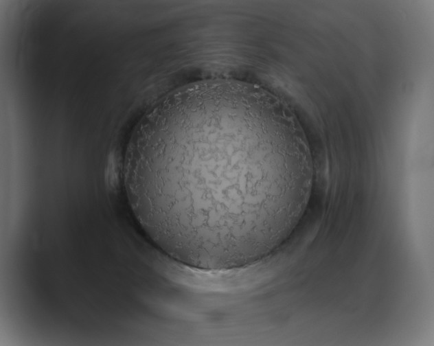 X0000089960038200706291237