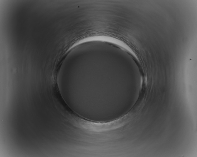 X0000089960039200706291237
