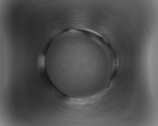 X0000089960041200706291237