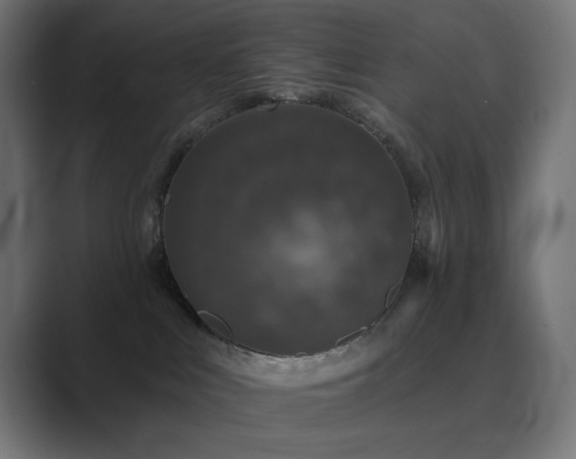 X0000089960043200706291237