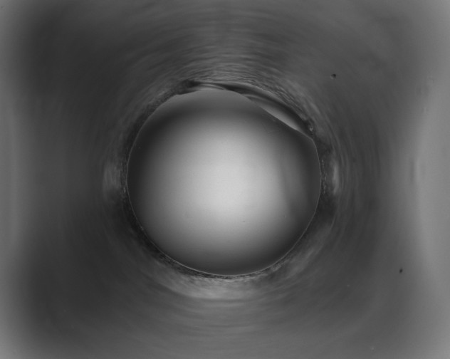 X0000089960044200706291237